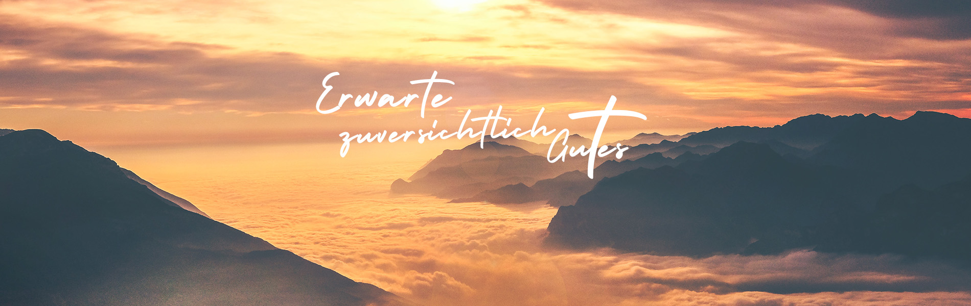Januar Banner