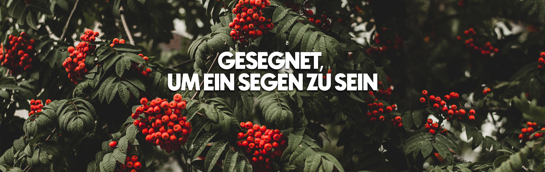 Juni Banner