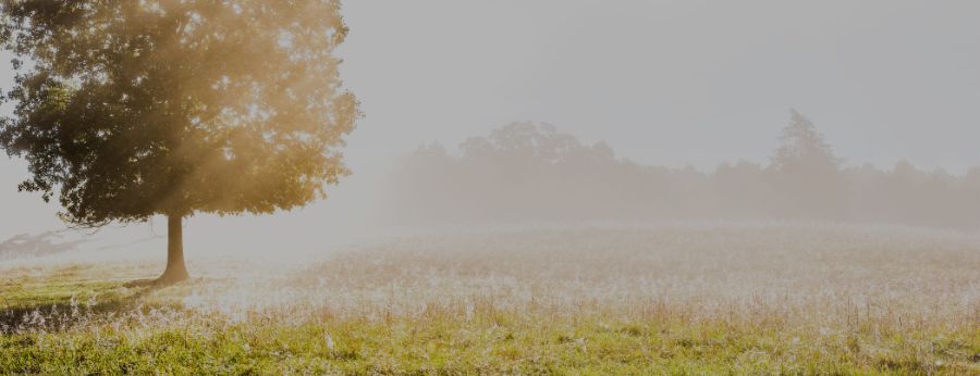 Dissolve Your Doubts on God’s Healing