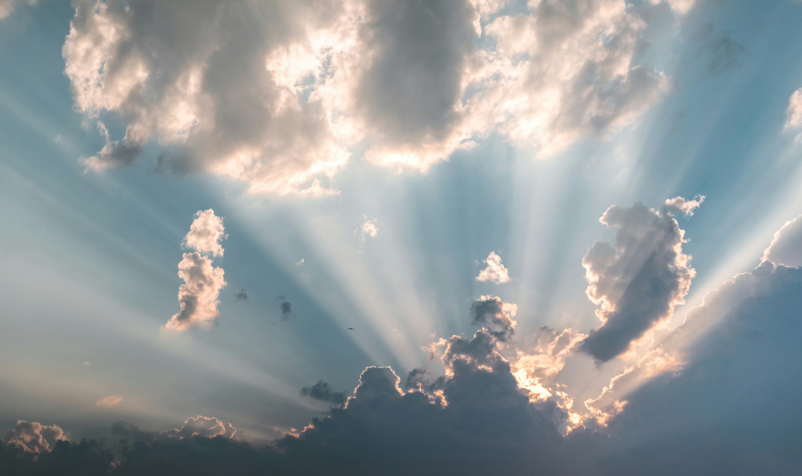 恵みの大きさを知り、言葉にできない喜びと祝福を体験しました